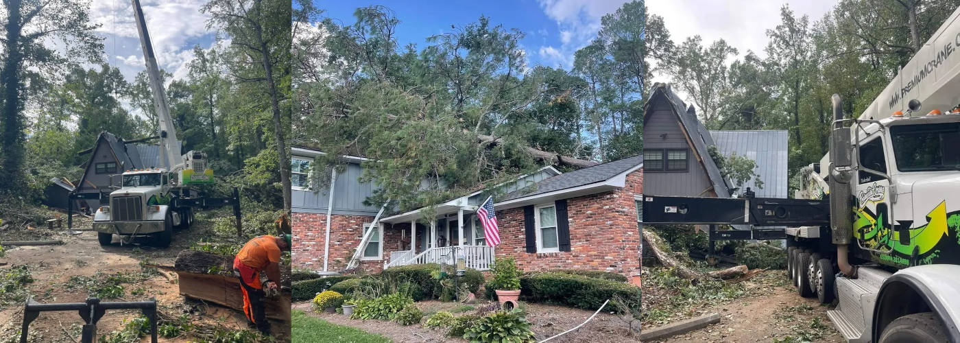 Featured Image for Arbor Elite Tree Services LLC